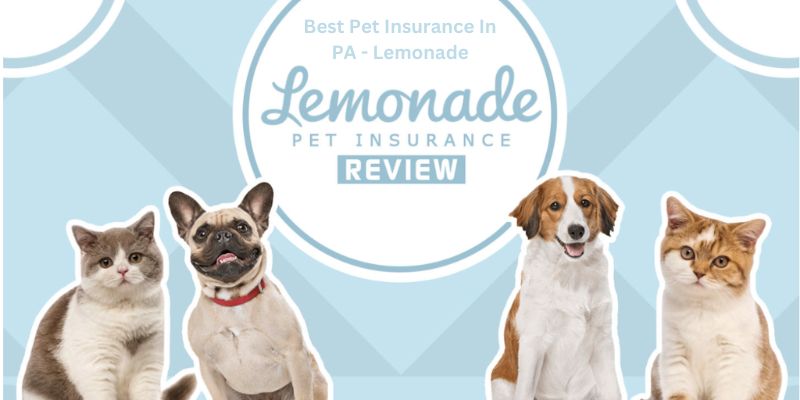 Best Pet Insurance In PA - Lemonade