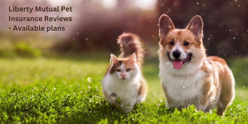 Liberty Mutual Pet Insurance Reviews - Available plans