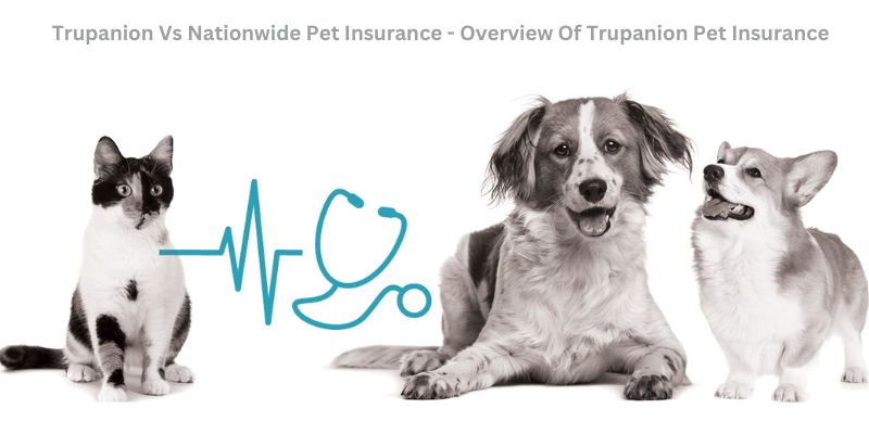 Trupanion Vs Nationwide Pet Insurance - Overview Of Trupanion Pet Insurance