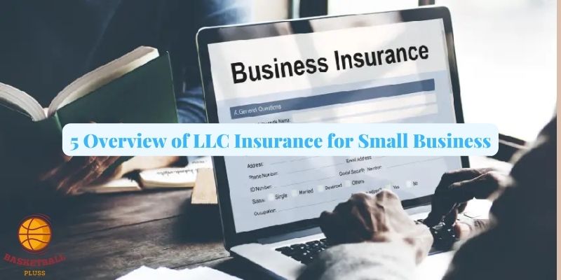 5 Overview of LLC Insurance for Small Business