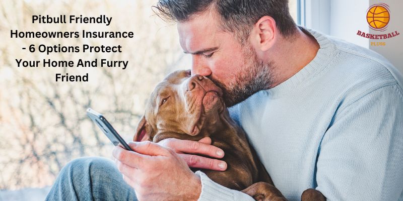 Pitbull Friendly Homeowners Insurance - 6 Options Protect Your Home And Furry Friend