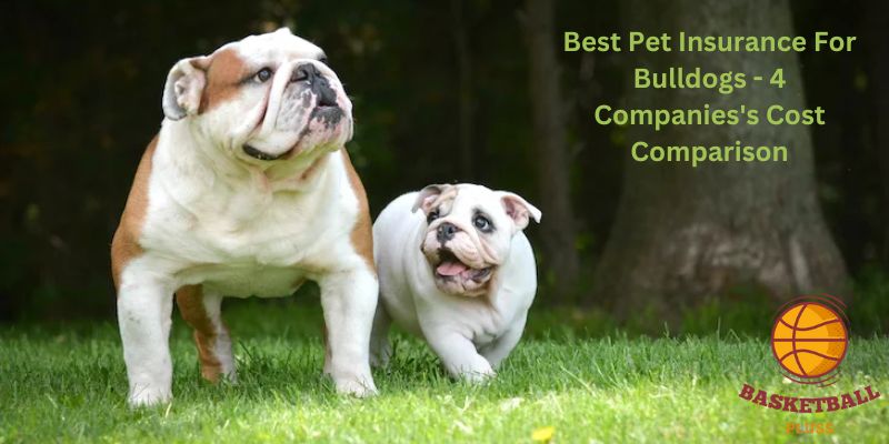 Best Pet Insurance For Bulldogs - 4 Companies's Cost Comparison