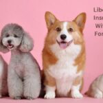 Liberty Mutual Pet Insurance Reviews With 6 Best Facts For Top Choice Of Pet Owners