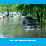 neptune flood insurance