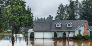 Navigating the Cost of Flood Insurance in Tennessee